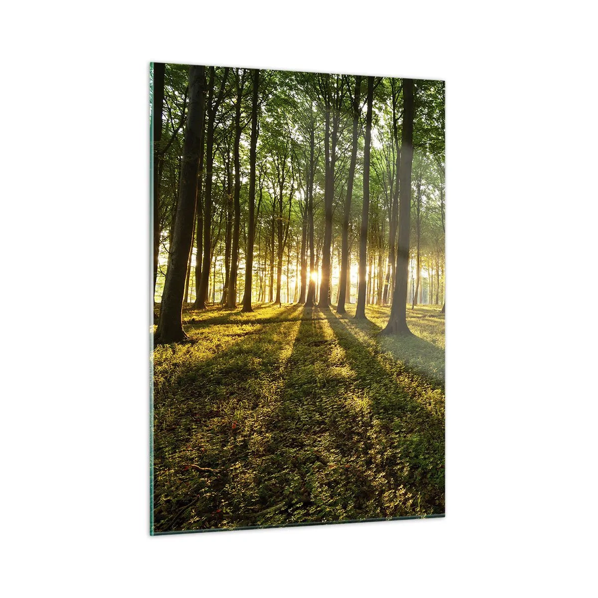 Schilderen op glas - Foto van de hele lente - 50x70 cm