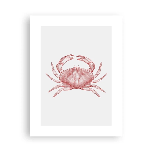 Poster - Krab der krabben - 30x40 cm