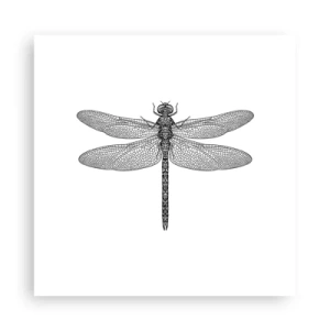 Poster - Precisie van de natuur - 30x30 cm
