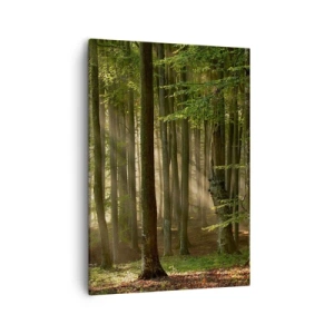 Schilderen op canvas - Stralend op een lentemorgen - 50x70 cm