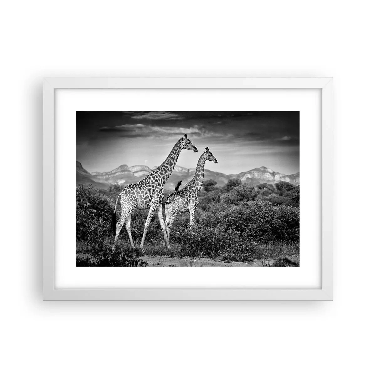 Poster in een witte lijst - Hoge sferen in Afrika - 40x30 cm