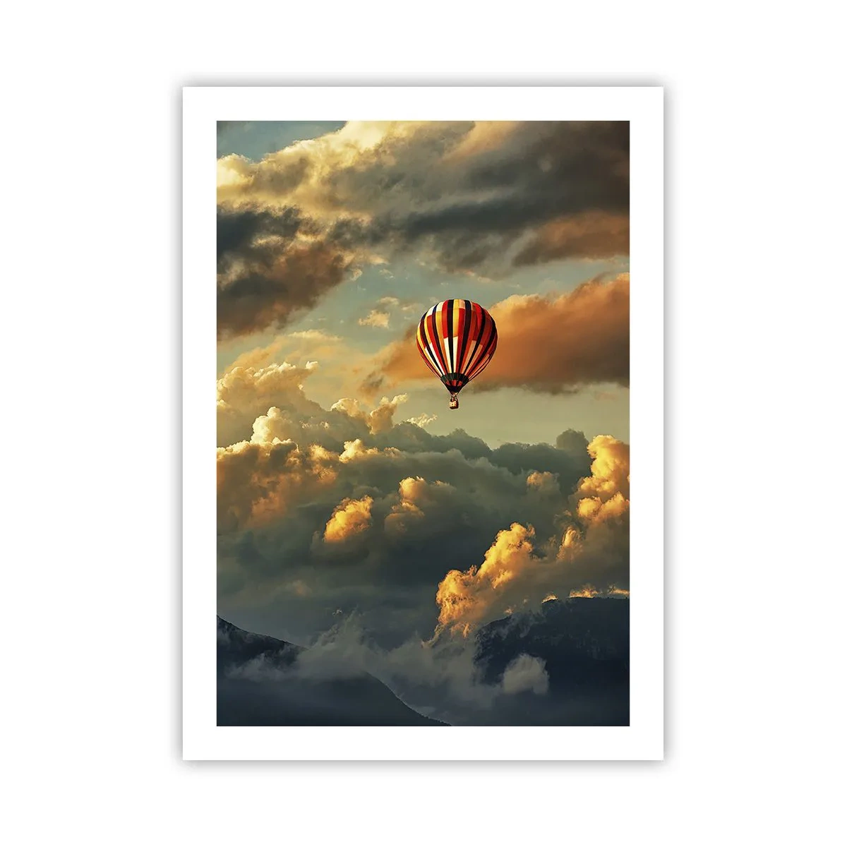 Poster - Ik vlieg omdat ik dat wil - 50x70 cm