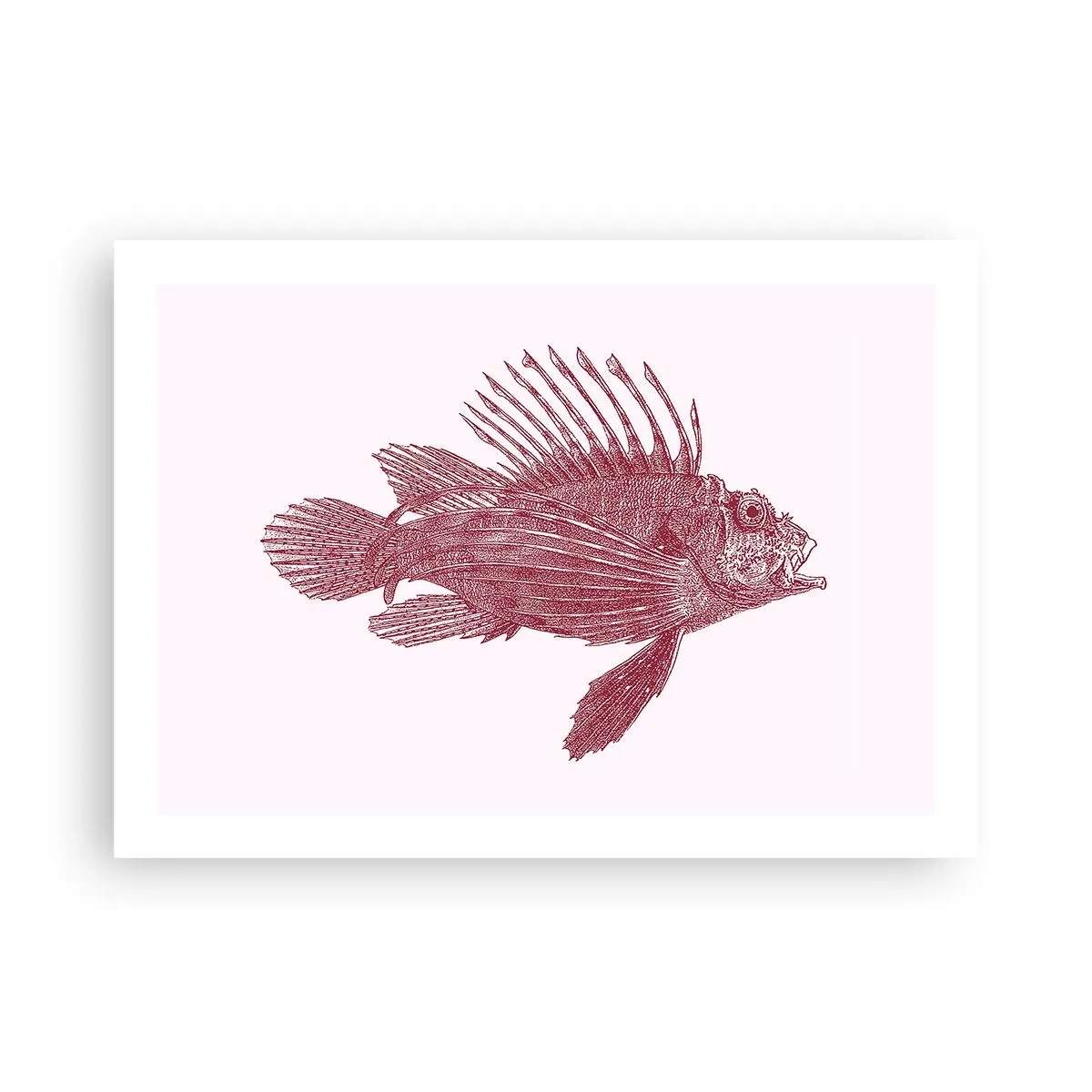 Poster - Inwoner van exotische wateren - 70x50 cm