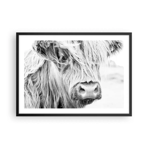 Poster in een zwarte lijst - Schotse wildheid - 70x50 cm