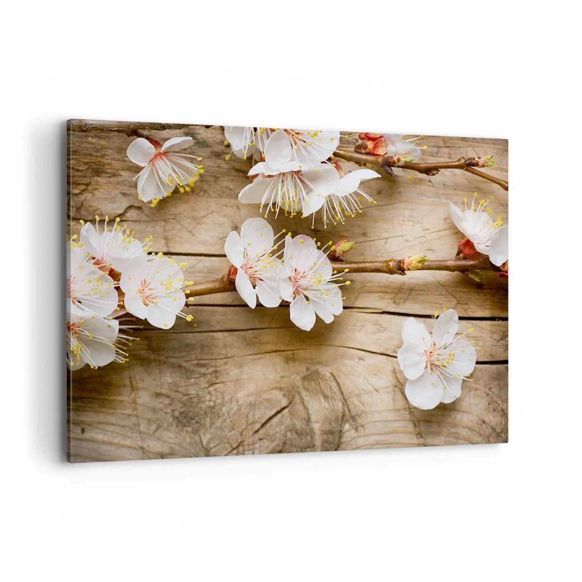 Schilderen op canvas - En het was lente - 100x70 cm