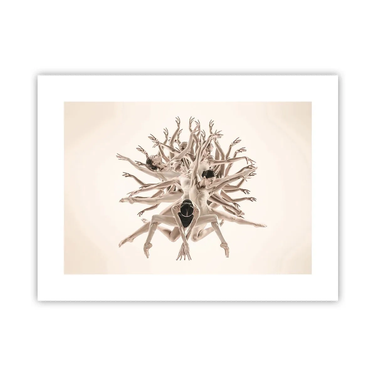 Poster - Bloeiend in dans - 40x30 cm