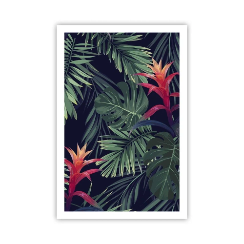 Poster - Ontsteken in het groen - 61x91 cm