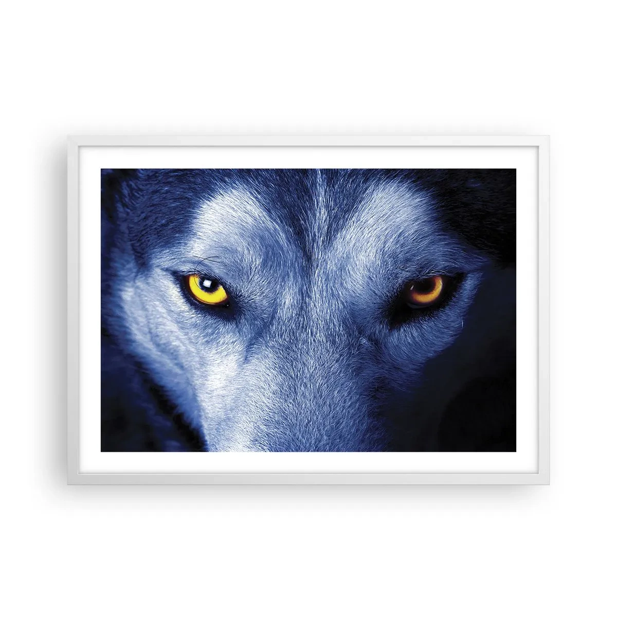 Poster in een witte lijst - Betoverende look - 70x50 cm