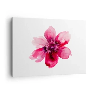Schilderen op canvas - Roze bloem in aquarelstijl op witte achtergrond - 70x50cm - Een karmijnrode geurende kus - Moderne wanddecoratie voor woonkamer en slaapkamer ARTTOR