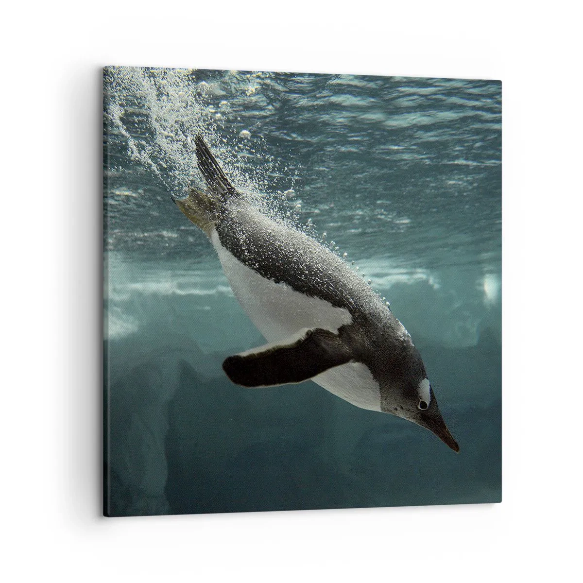 Schilderen op canvas - Welkom in mijn wereld - 50x50 cm