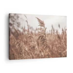 Schilderen op canvas - Gouden grassen tegen de achtergrond van een herfstlandschap - 70x50cm - Het is al herfst in de velden - Moderne wanddecoratie voor woonkamer en slaapkamer ARTTOR