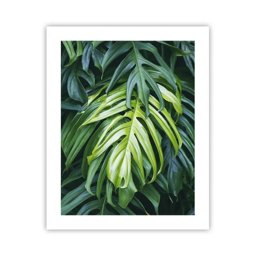 Poster - Dompel jezelf onder in de frisheid - 40x50 cm