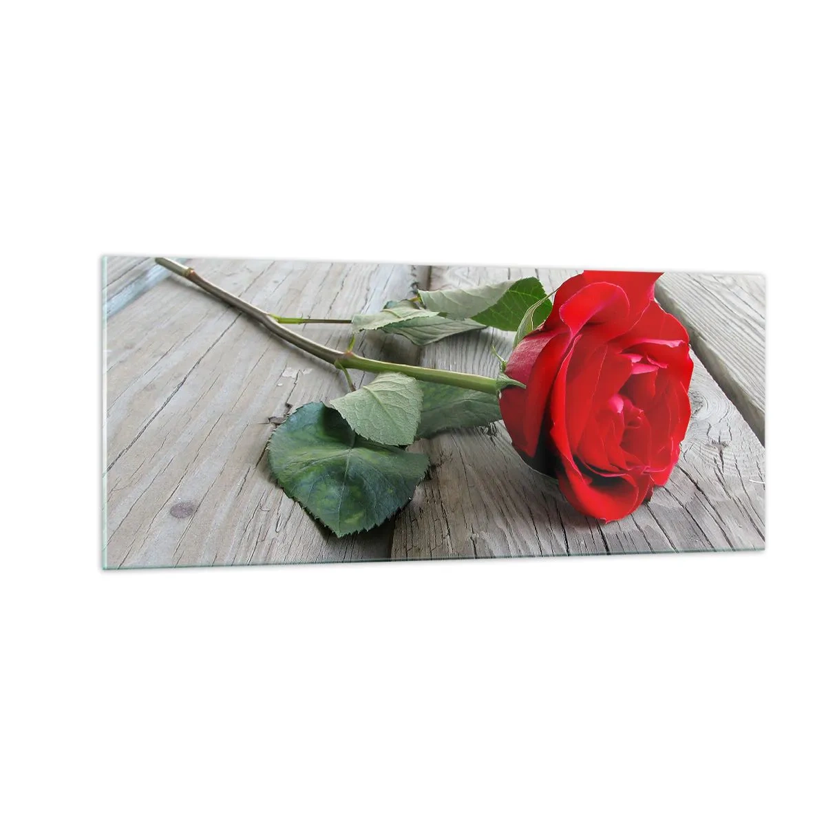 Schilderen op glas - Een studie in scharlaken - 100x40 cm