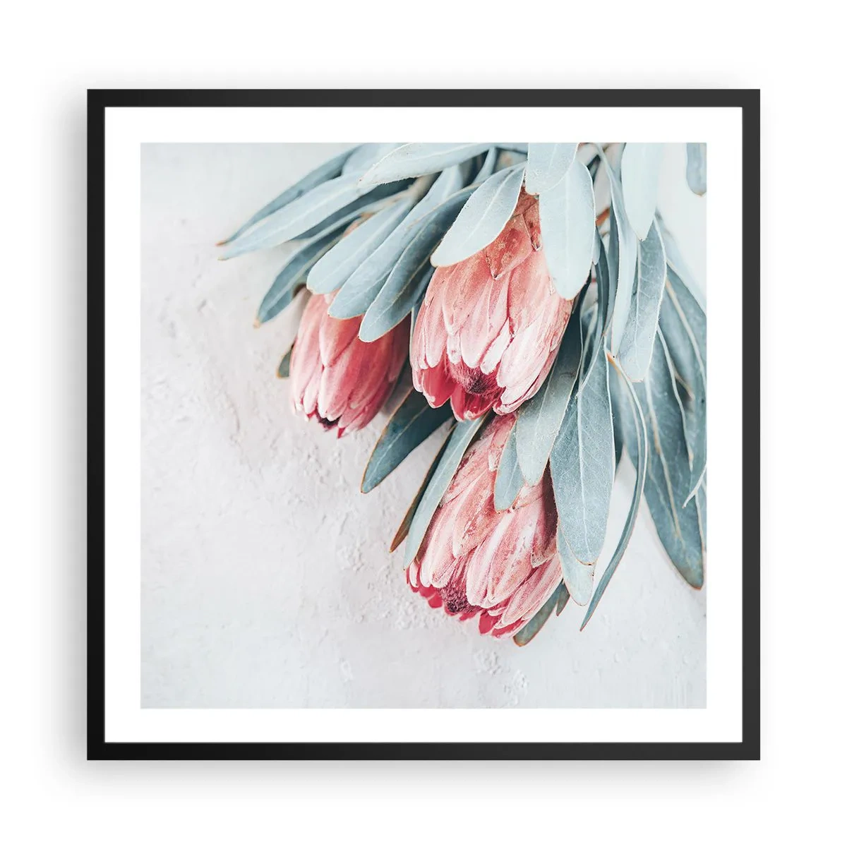 Poster in een zwarte lijst - Schaamt zich voor hun eigen schoonheid - 60x60 cm