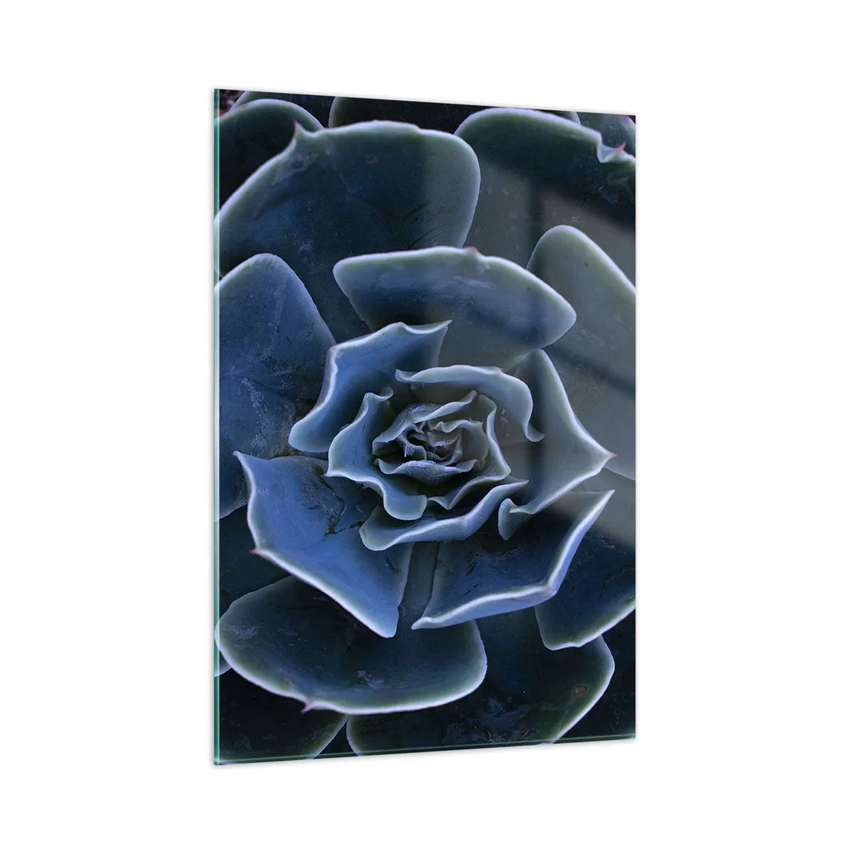 Schilderen op glas - Woestijn bloem - 50x70 cm