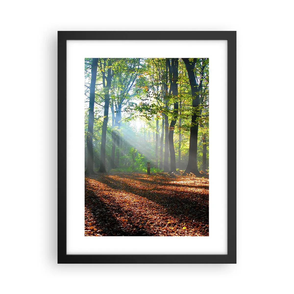 Poster in een zwarte lijst - Lichten en schaduwen - 30x40 cm