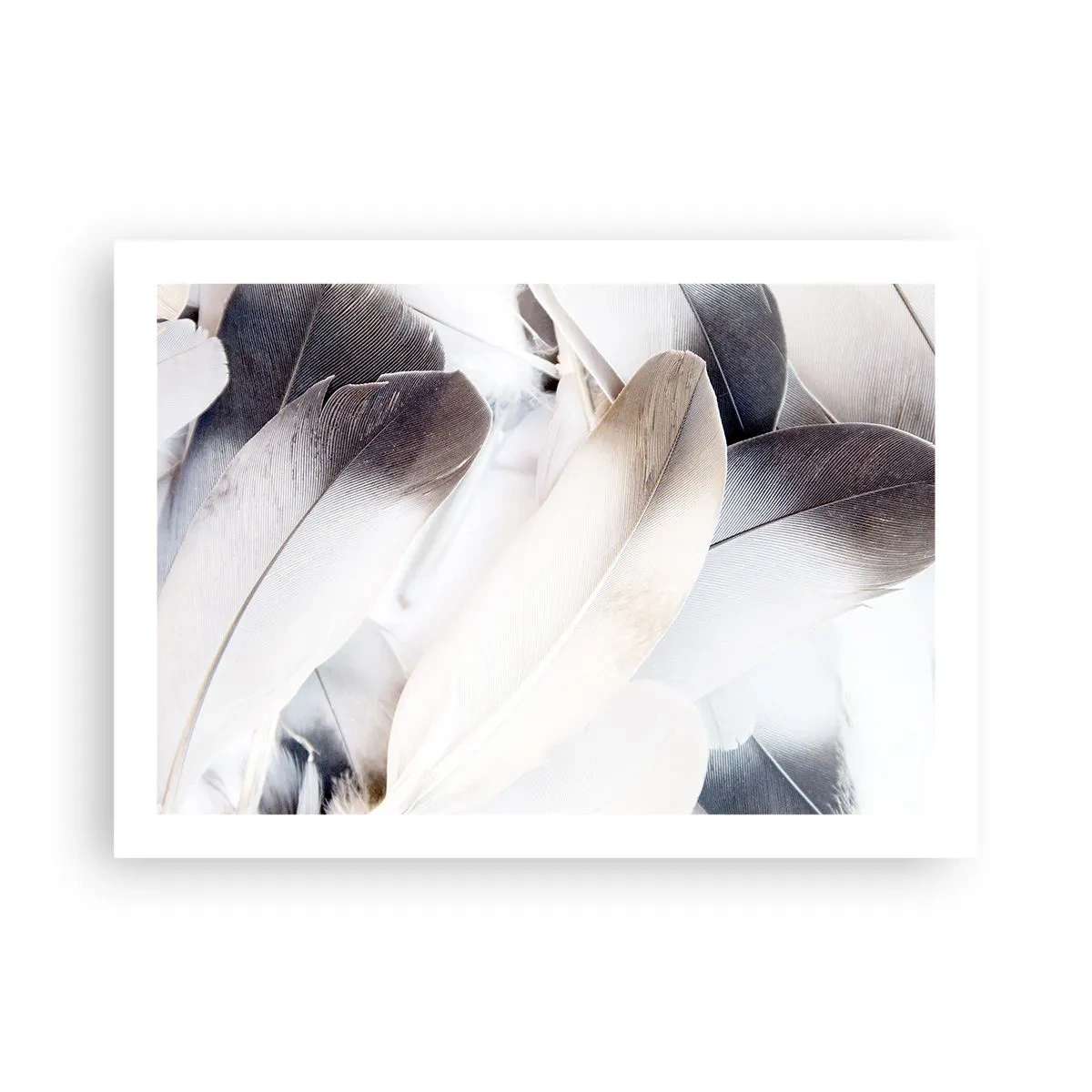 Poster - Bijna engelachtig - 70x50 cm