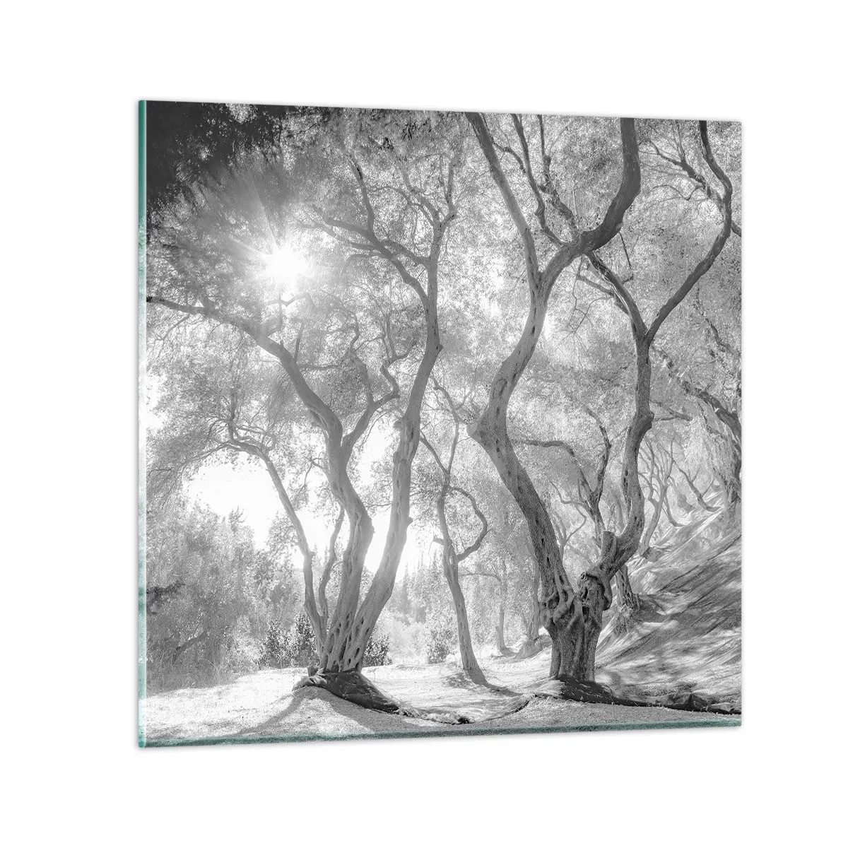 Schilderen op glas - In de olijfboomgaard - 40x40 cm