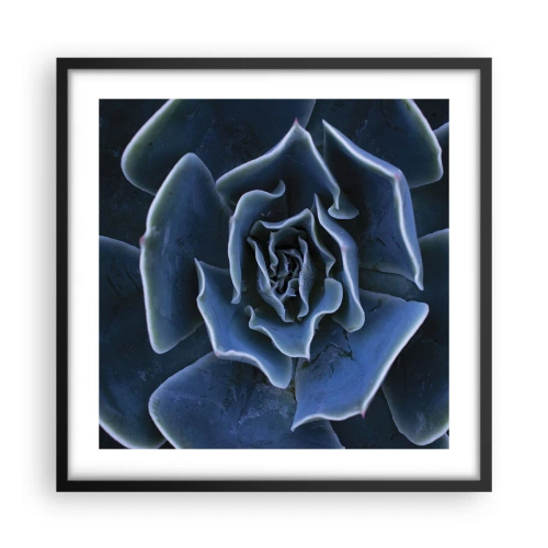Poster in een zwarte lijst - Woestijn bloem - 50x50 cm