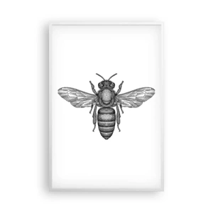 Poster in een witte lijst - Insectenportret - 61x91 cm
