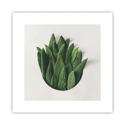 Poster - Ongebreidelde nieuwsgierigheid - 30x30 cm