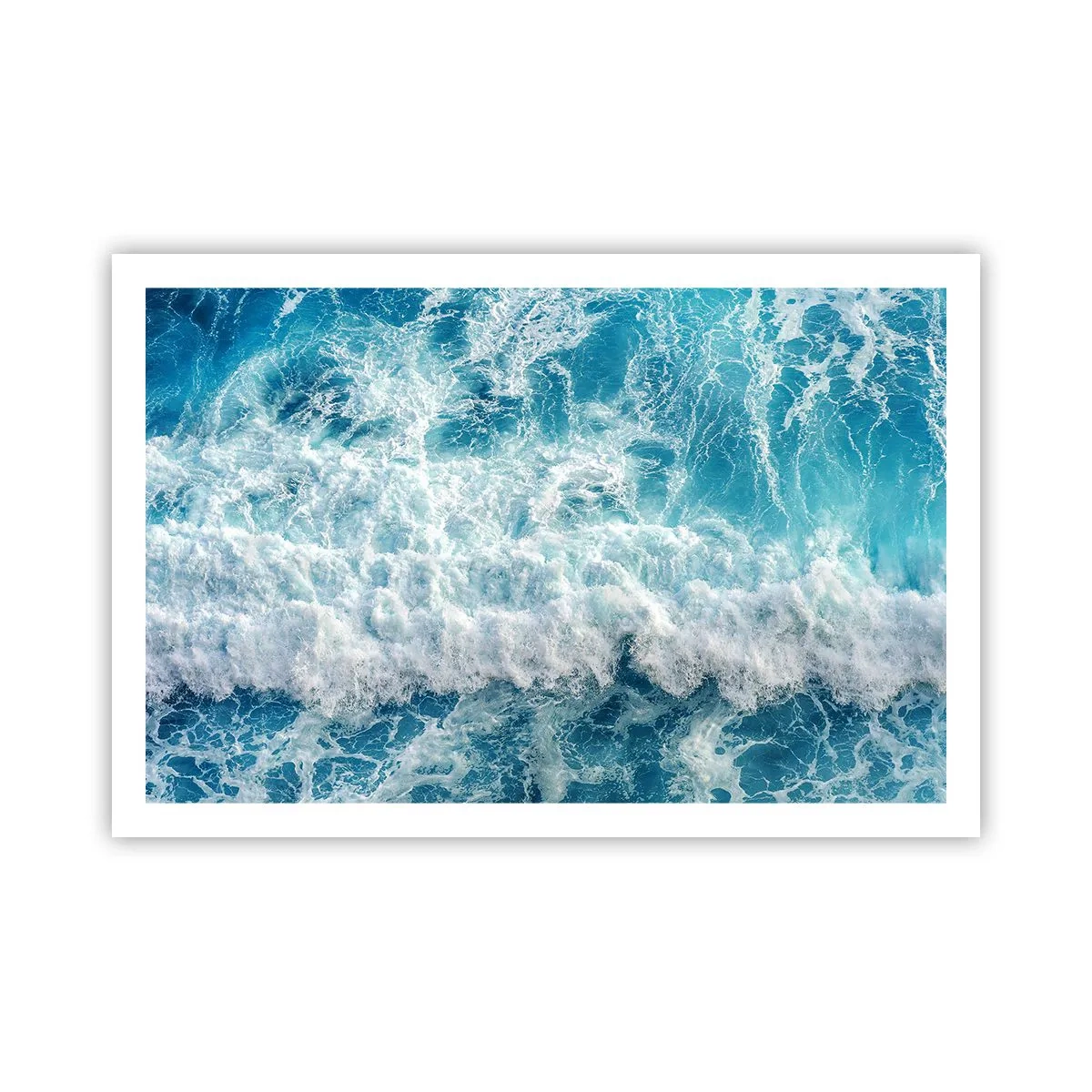 Poster - Vrolijk en springend - 91x61 cm