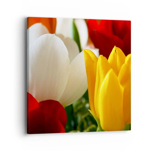 Schilderen op canvas - Tulpenkoorts - 40x40 cm
