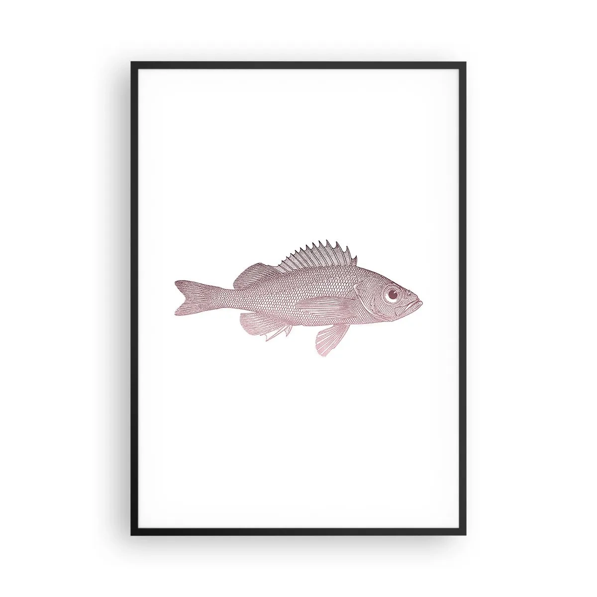 Poster in een zwarte lijst - Grote ogen vis - 70x100 cm