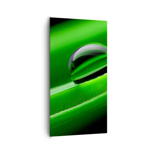 Schilderen op canvas - Leven van dichtbij - 65x120 cm