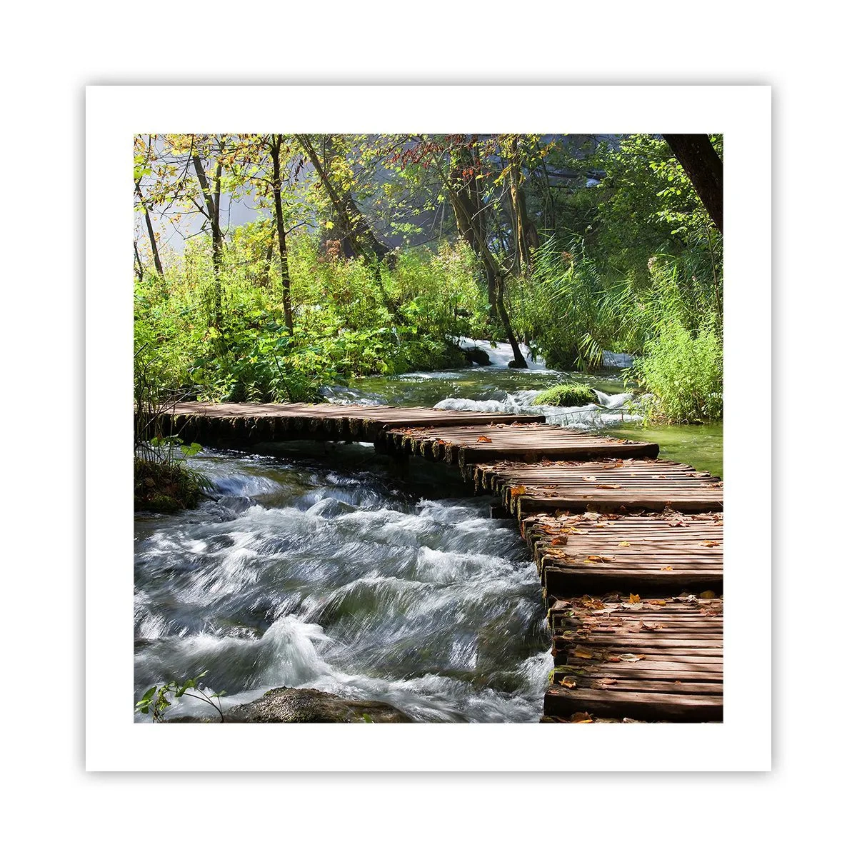Poster - Boven de schuimige waterval - 50x50 cm