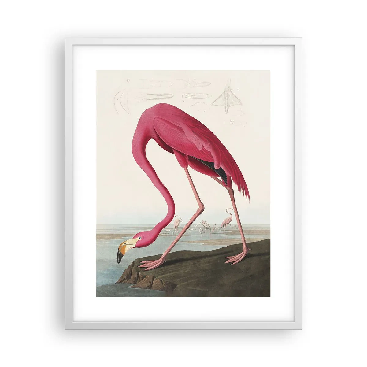 Poster in een witte lijst - Geweldige creatie - 40x50 cm