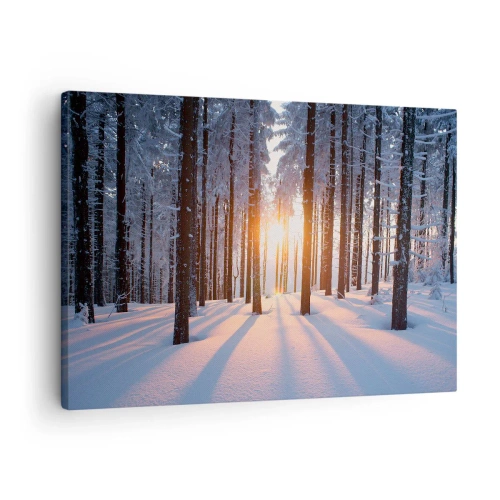 Schilderen op canvas - Winterbos verlicht door de zonnestralen - 70x50cm - Duidelijk in zwart-wit - Moderne wanddecoratie voor woonkamer en slaapkamer ARTTOR
