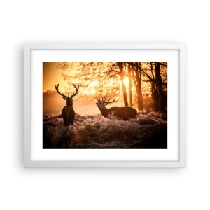 Poster in een witte lijst - De droom van een jager - 40x30 cm