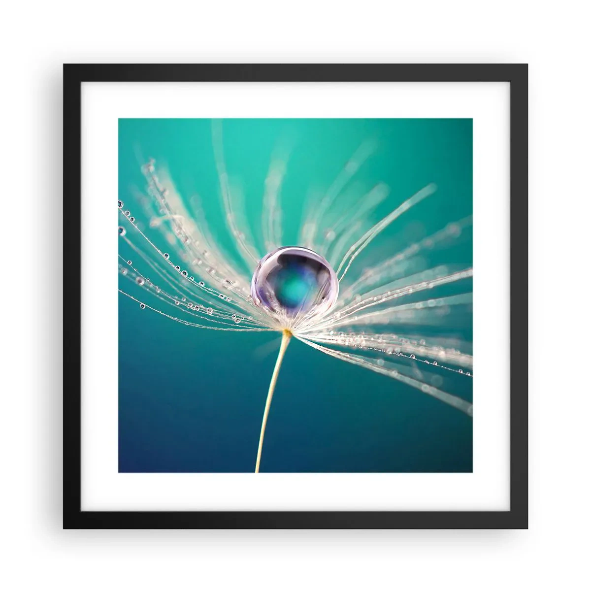 Poster in een zwarte lijst - Mystiek moment - 40x40 cm