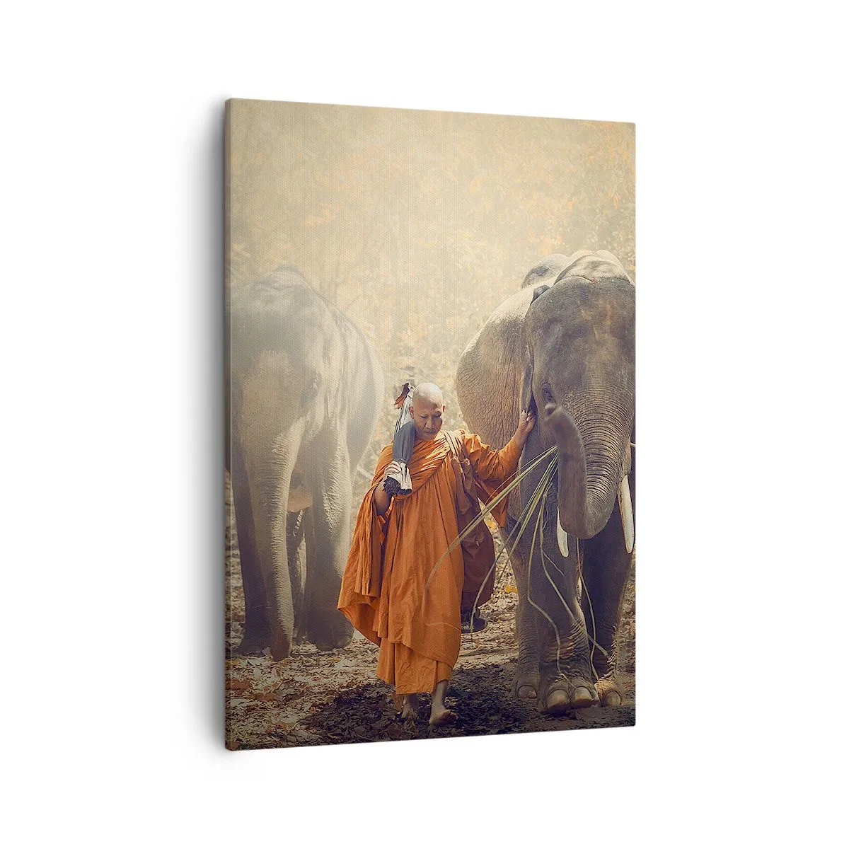 Schilderen op canvas - Volledig begrip - 50x70 cm