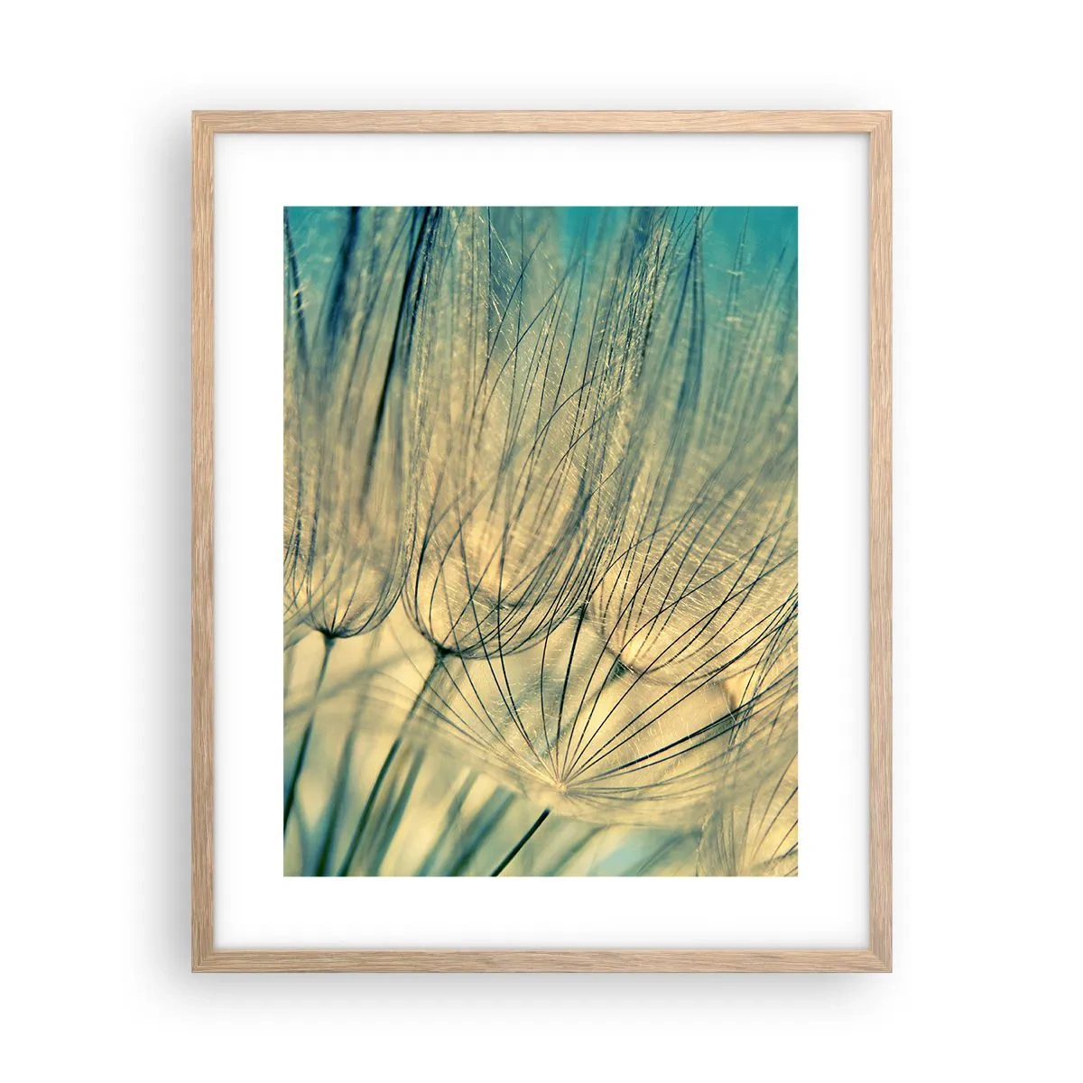 Een poster in een licht eiken lijst - In afwachting van de wind - 40x50 cm