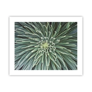 Poster - Een ster is geboren - 50x40 cm