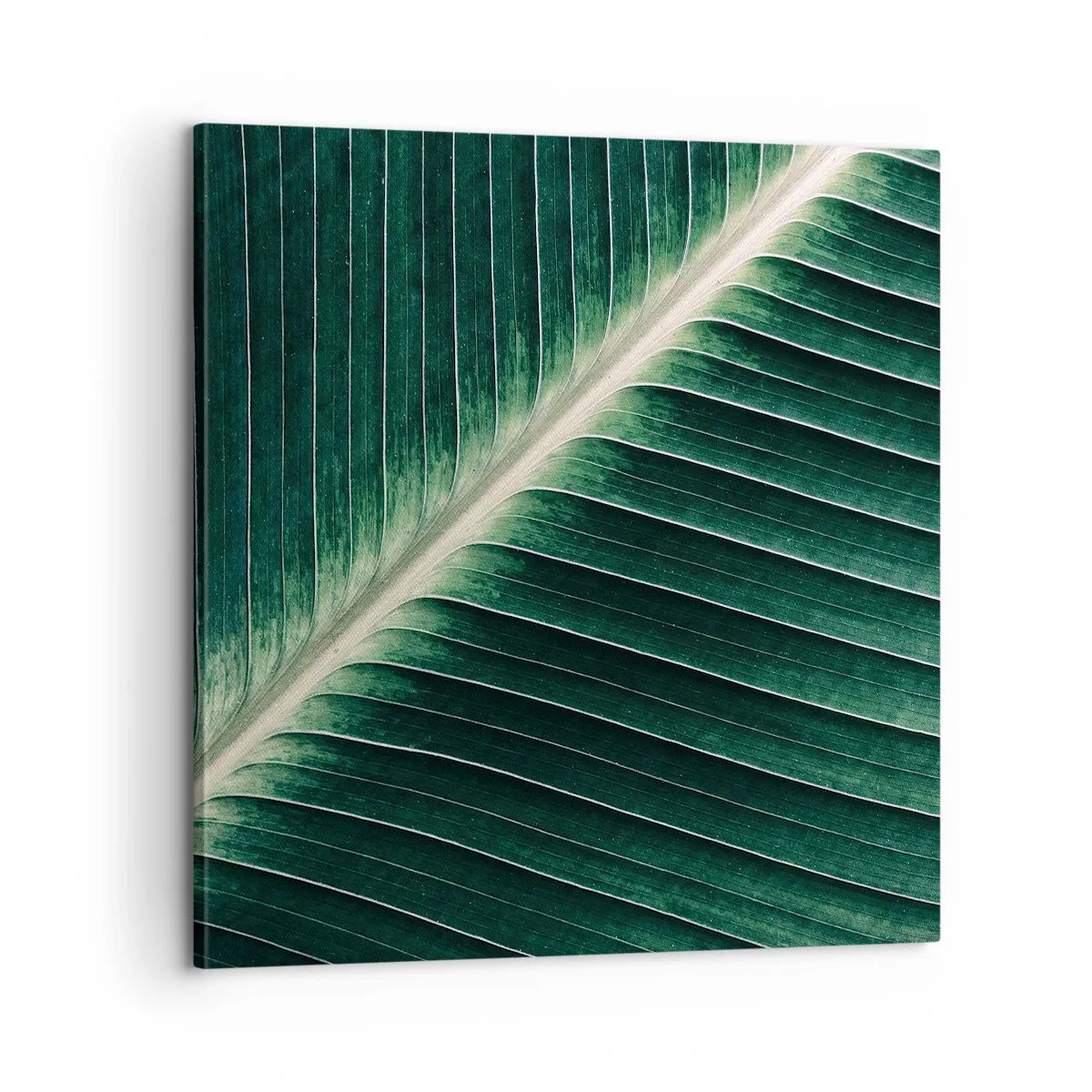 Schilderen op canvas - Het ritme van de natuur - 60x60 cm