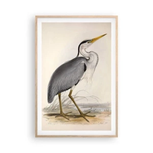 Een poster in een licht eiken lijst - Charmes van de reiger - 61x91 cm