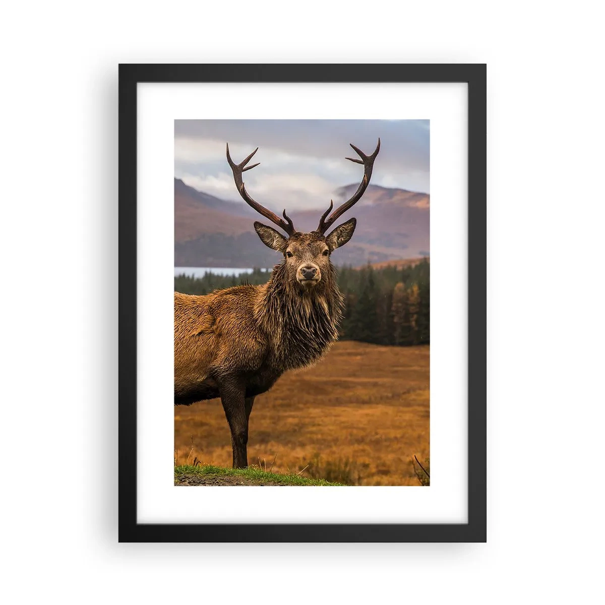 Poster in een zwarte lijst - De majesteit van de natuur - 30x40 cm