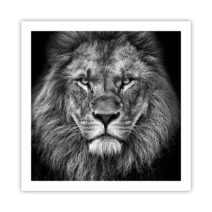 Poster - In een kroningskleed - 60x60 cm