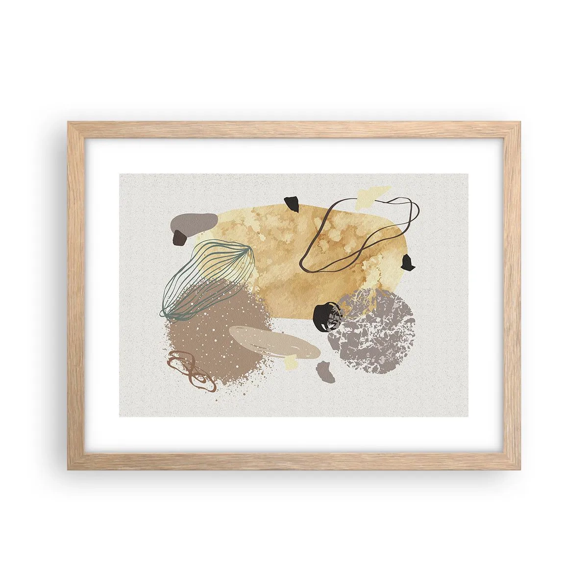 Een poster in een licht eiken lijst - Toegepaste plumcologie - 40x30 cm