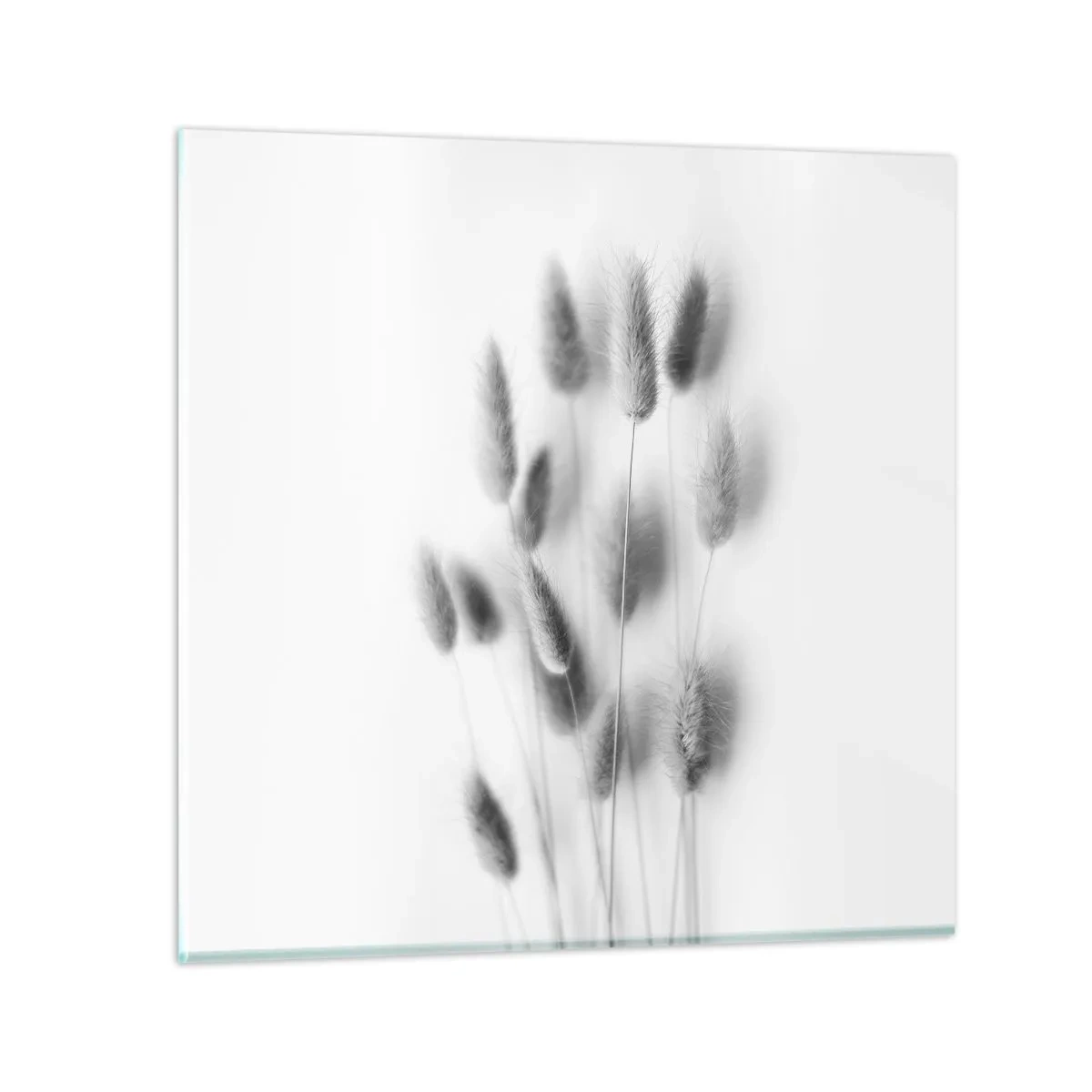 Schilderen op glas - Haar luchtigheid gras - 40x40 cm