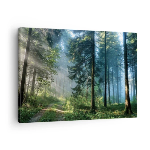 Schilderen op canvas - Een bospad verlicht door de stralen van de ochtendzon - 70x50cm - Stralend in de ochtend - Moderne wanddecoratie voor woonkamer en slaapkamer ARTTOR