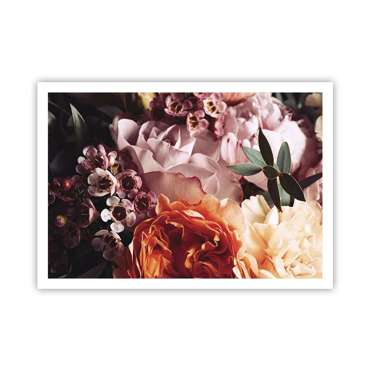 Poster - Gehuld in schoonheid - 100x70 cm