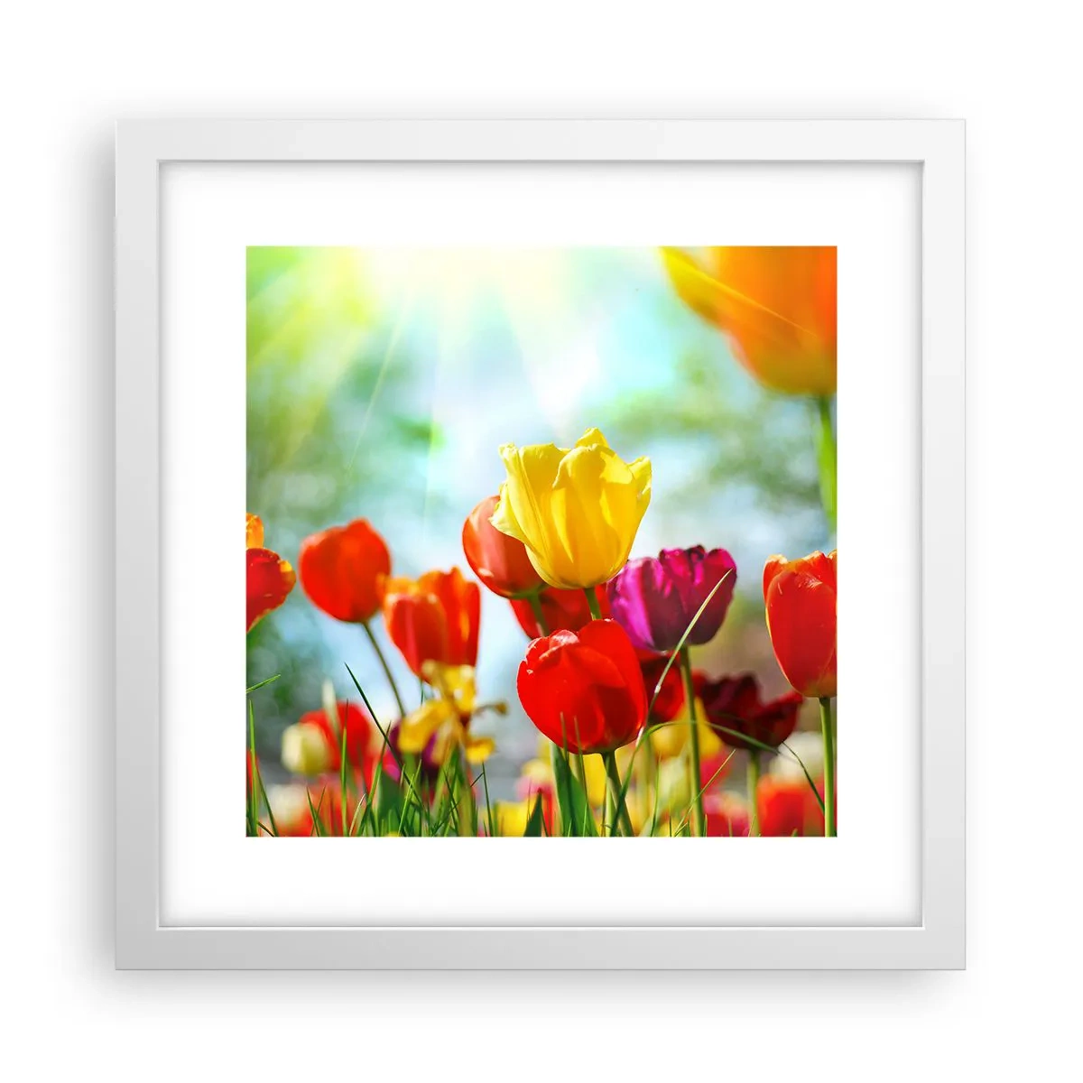 Poster in een witte lijst - Alle kleuren van de zon - 30x30 cm