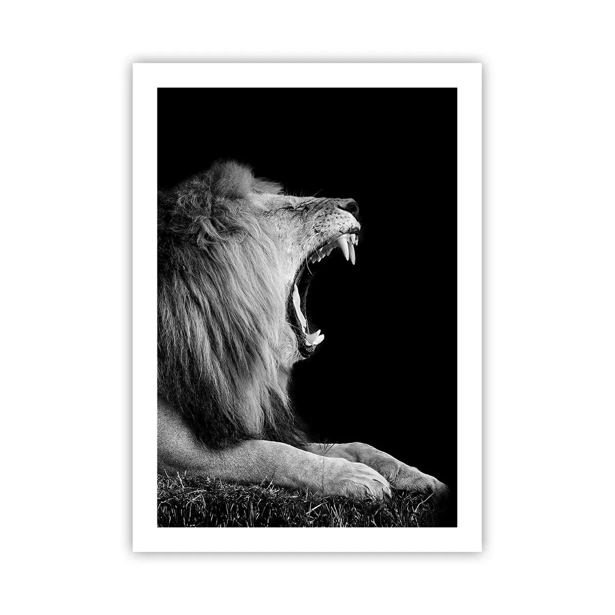 Poster - Zonder enige twijfel - 50x70 cm