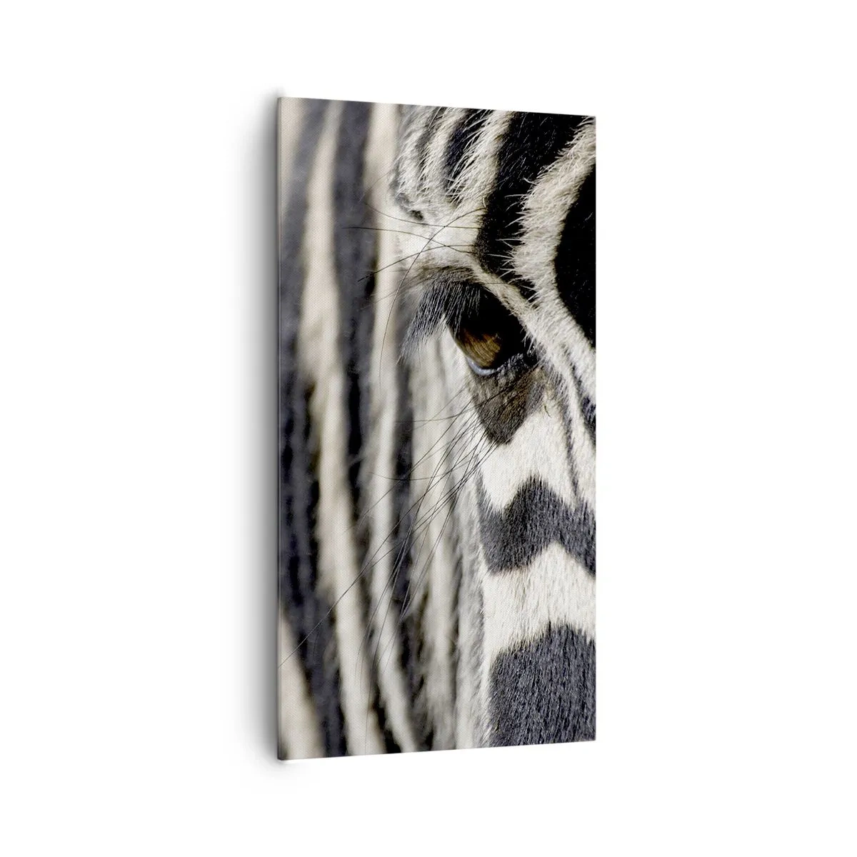 Schilderen op canvas - Gestreept portret - 65x120 cm