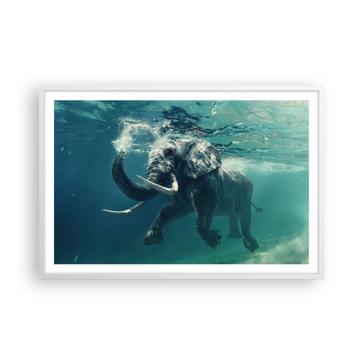 Poster in een witte lijst - Iedereen houdt van zwemmen - 91x61 cm