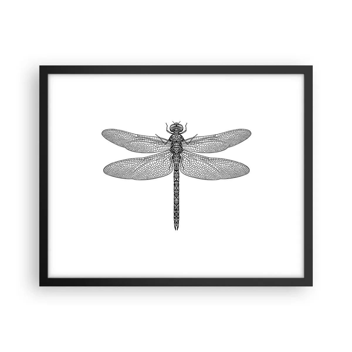Poster in een zwarte lijst - Precisie van de natuur - 50x40 cm